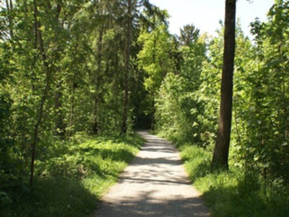 Münchwilen Murg-Wanderweg